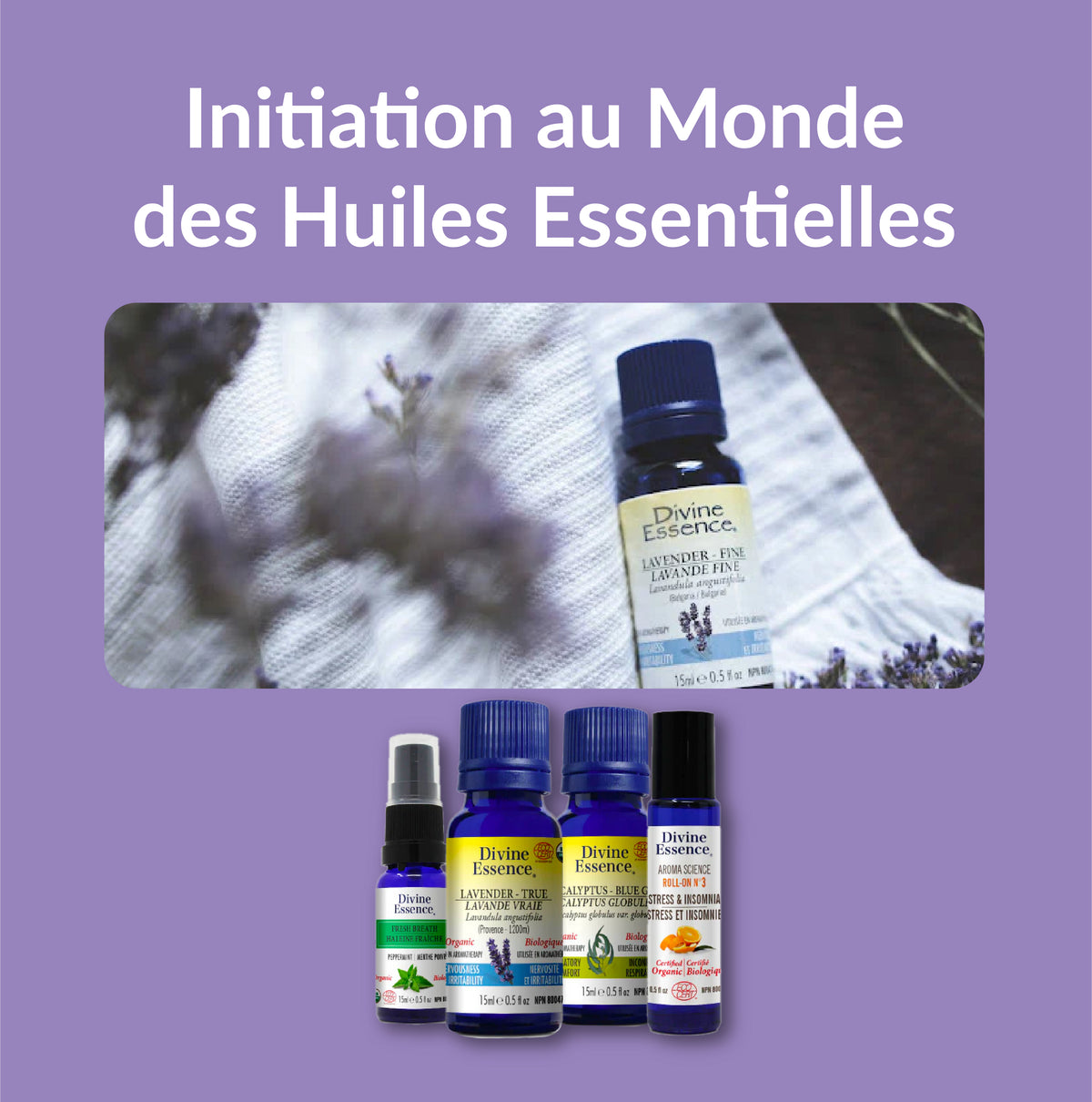 Initiation au Monde des Huiles Essentielles