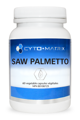 Saw Palmetto