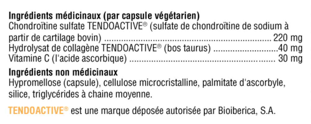 SynovX T & L